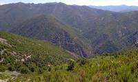 Sierra de Muniellos, valle de Castaal