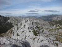 Cresta