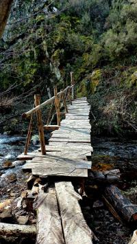 Puente