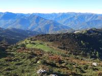 Collada Rueses